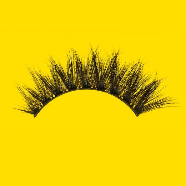 Lash Back