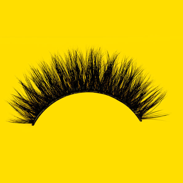 True or Falsie