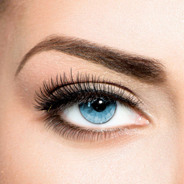 B8- DARK BROWN