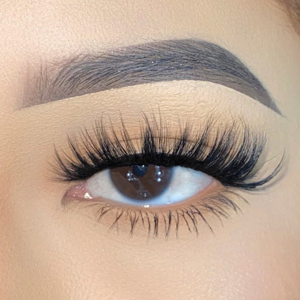 Lash Back