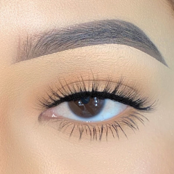 Lash Focus