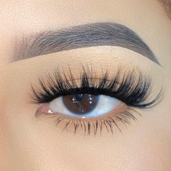 Lash Back