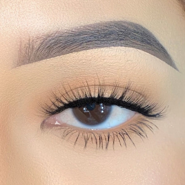 Lash Focus